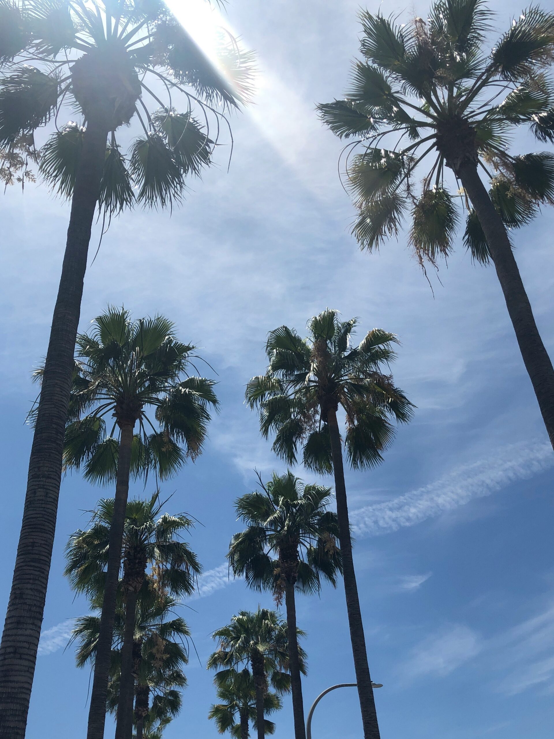 Why Now Is the Perfect Time to Buy a Home in Long Beach, CA